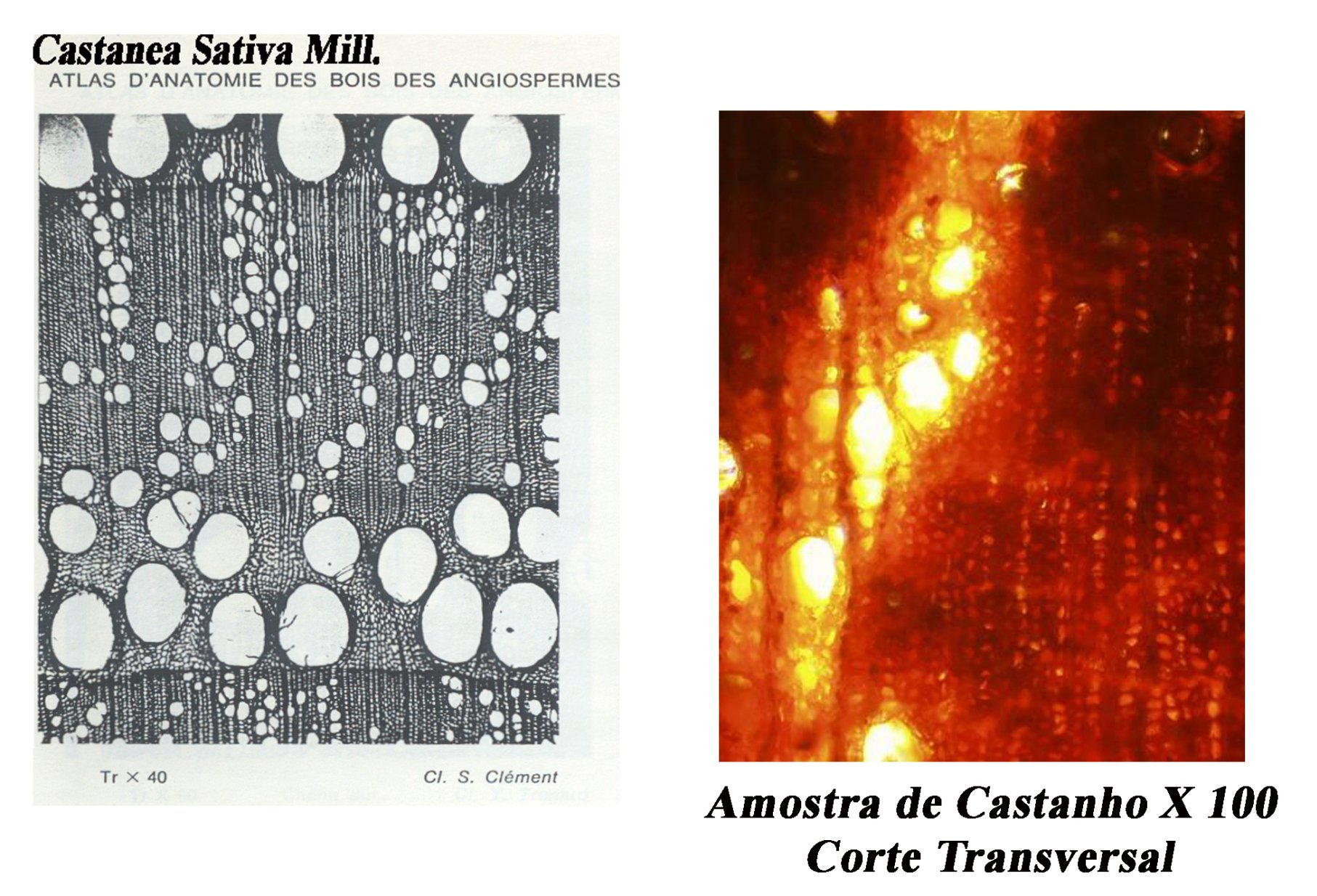 Projecto — vista geral