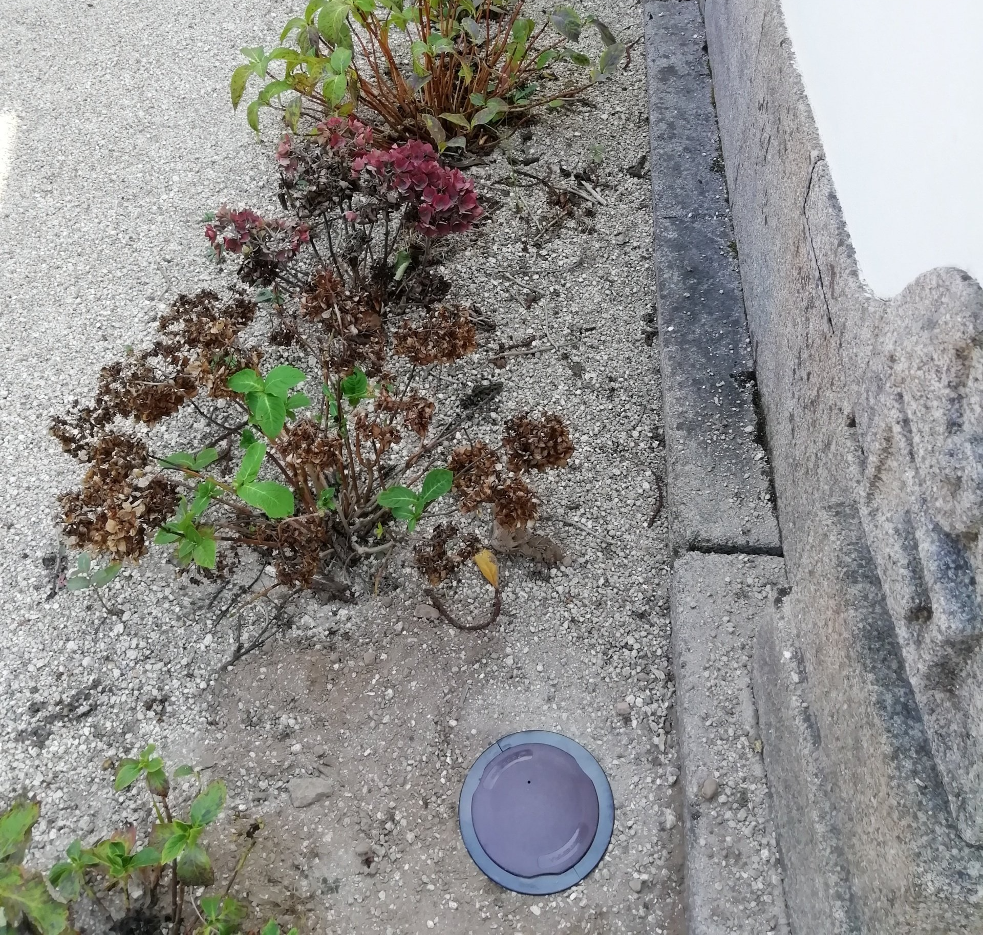 Anti-térmita — instalação em obra